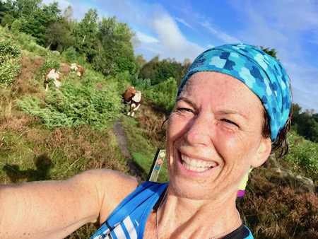 traillöpning bland kossor