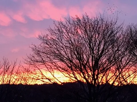 Så här enkelt är det att leva hälsosamt! himmel, rosa himmel, Göteborg, Askim