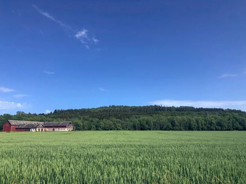 vandring, kinnekulle, hälsa, vilse