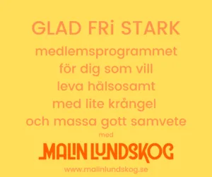 det hälsosamma systerskapet, mindset, systerskap, hälsa, Malin Lundskog, webbkurs