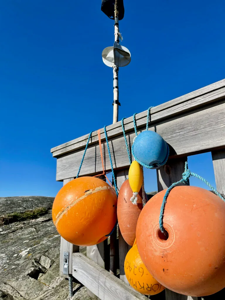 Röddeviga, knippla, västkusten, slingan, Malin Lundskog, västkusten