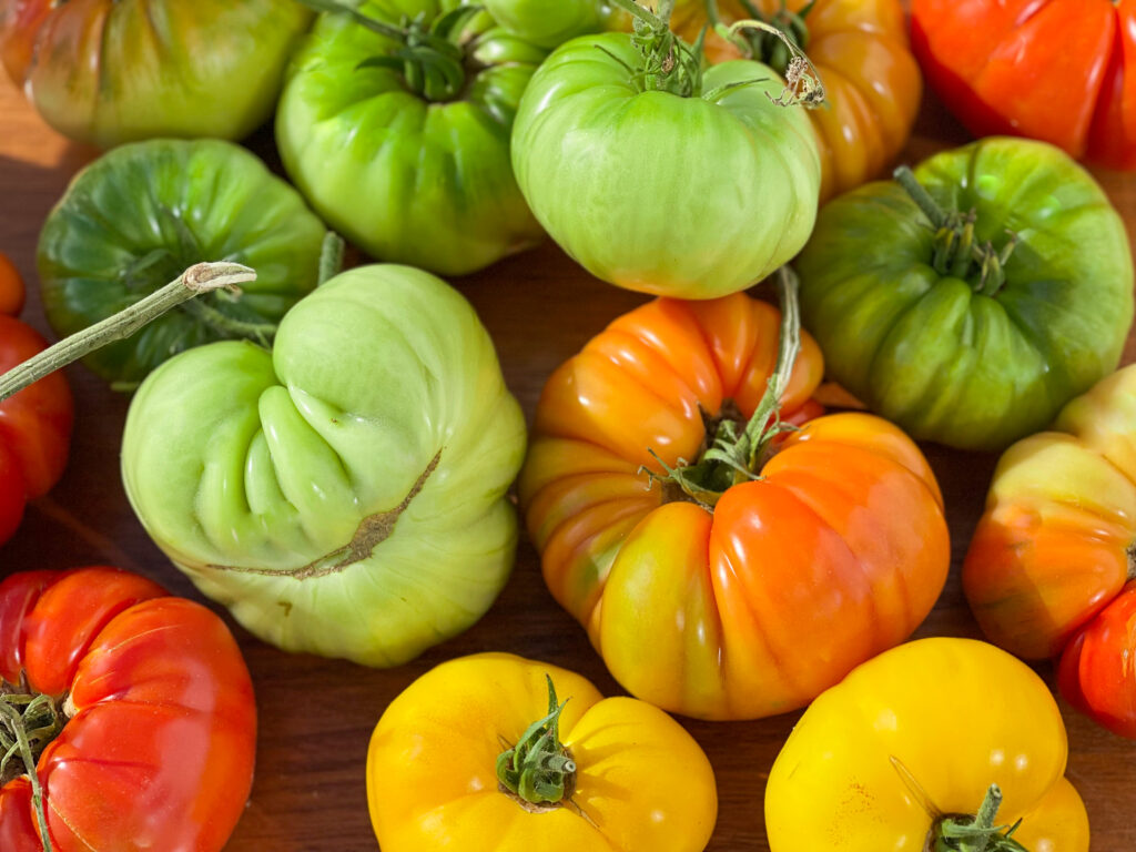 tomater, träning och tacksamhet, Knippla, bifftomater, tomater, Malin Lundskog, blogg