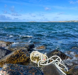 strandfynd, sakletare, tamp, västkusten, Knippla