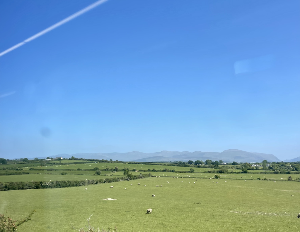 Rutten för tågluffen, Wales, får, grönt, sol, berg