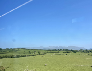 tågluff, wales, får