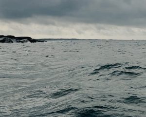 vågor, västkusten, knippla, hummerfiske