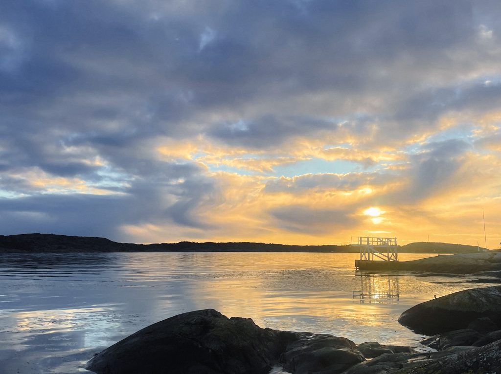 hopptorn på Knippla i vintersol, västkusten
