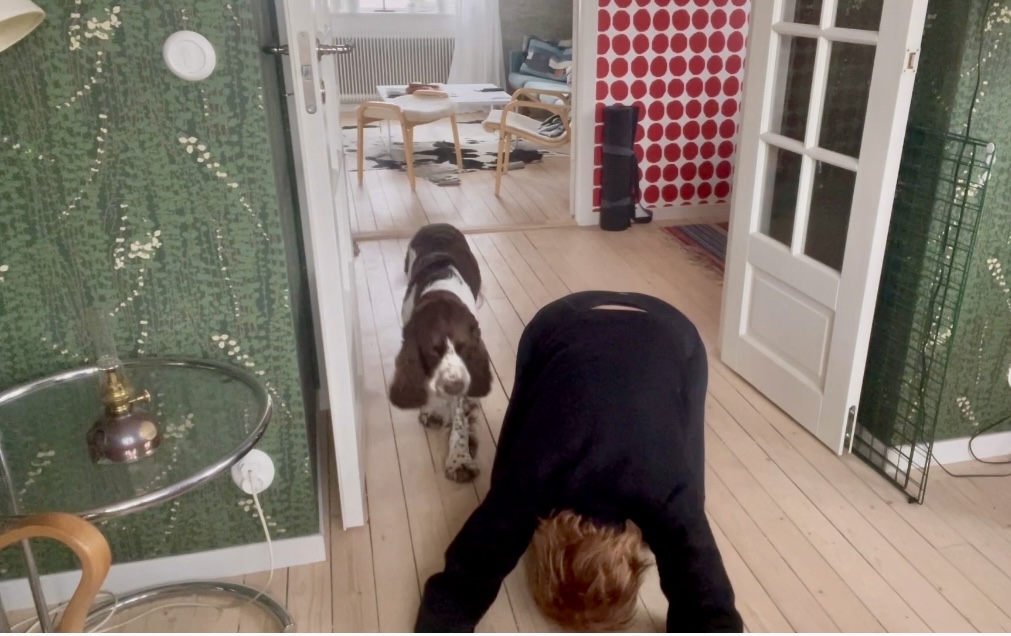 pausjumpa för ryggen, Malin Lundskog, Mariannes mirakel, springer spaniel