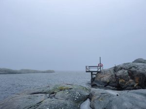 badvik Knippla, röddeviga, frälsarkrans, dimma