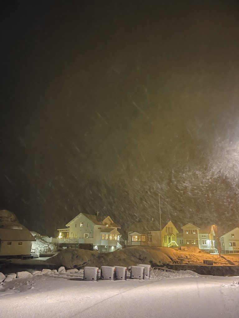 vinter, lilla hamnen, knippla
