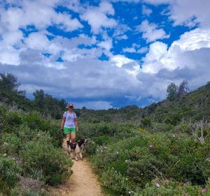 malin lundskog, springerspaniel, hike, benagilgrottorna