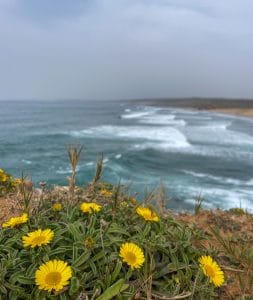 utsikt, praia da bordeira, Pontal da Carrapateira