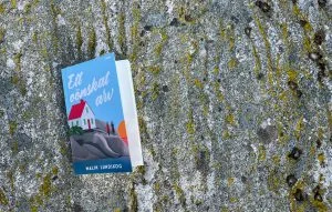 Ett oönskat arv, klippor, knippla, feelgood, roman