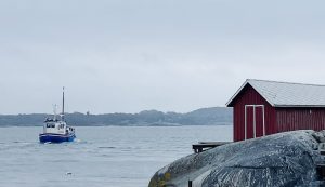 pärlan, fiskebåt, knippla gästhamn, sjöbodar