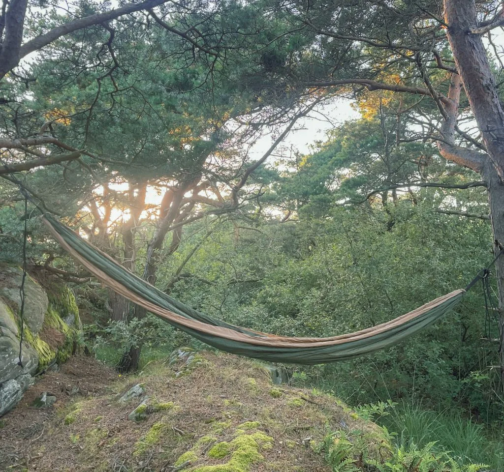 hammock hängmatta, tallar, knippla
