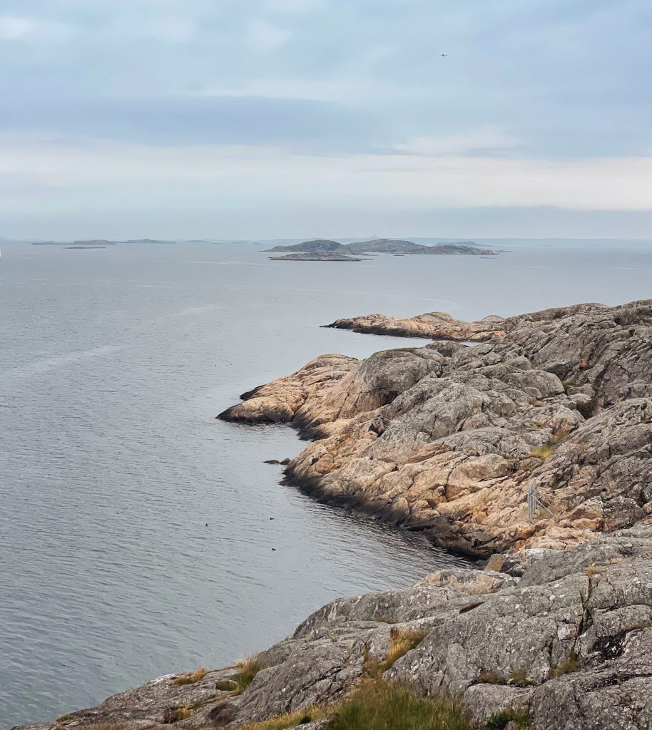 strandfynd, knippla, västkusten, öliv