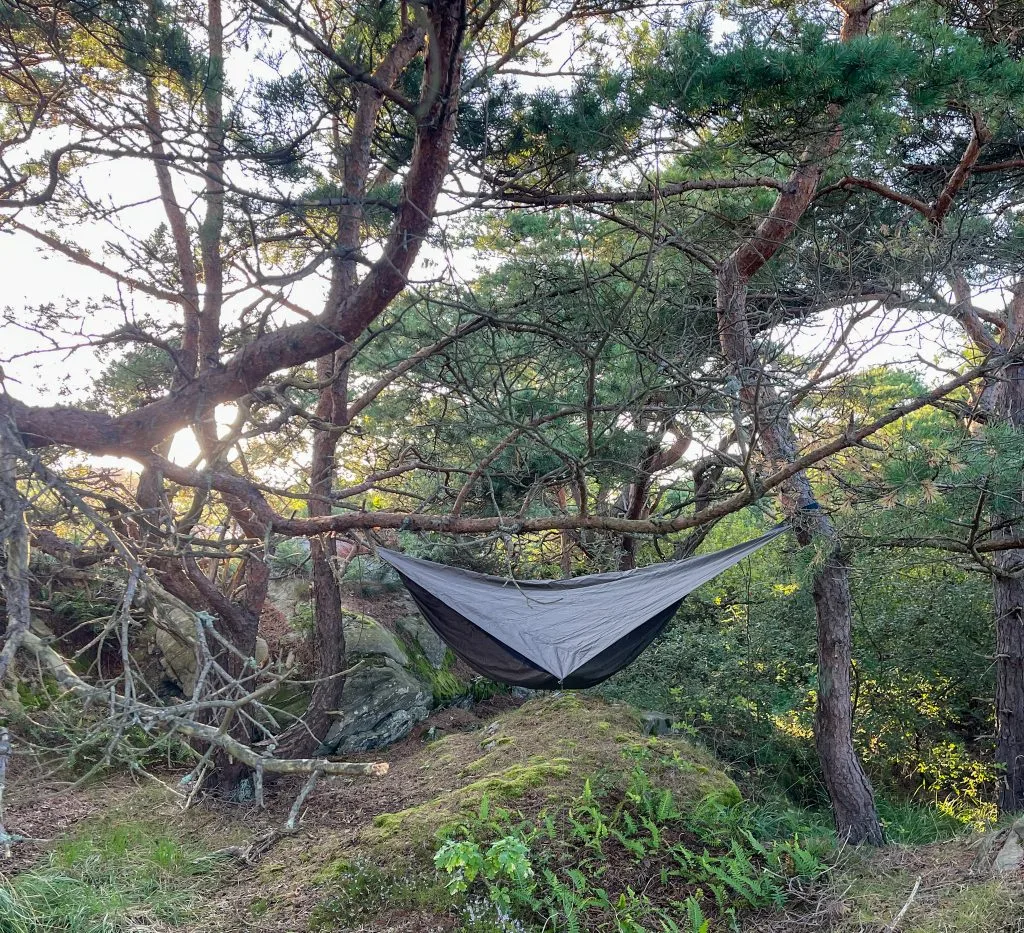 jag tog hemmaledigt, hennessy hammock, knippla, en utenatt i månaden