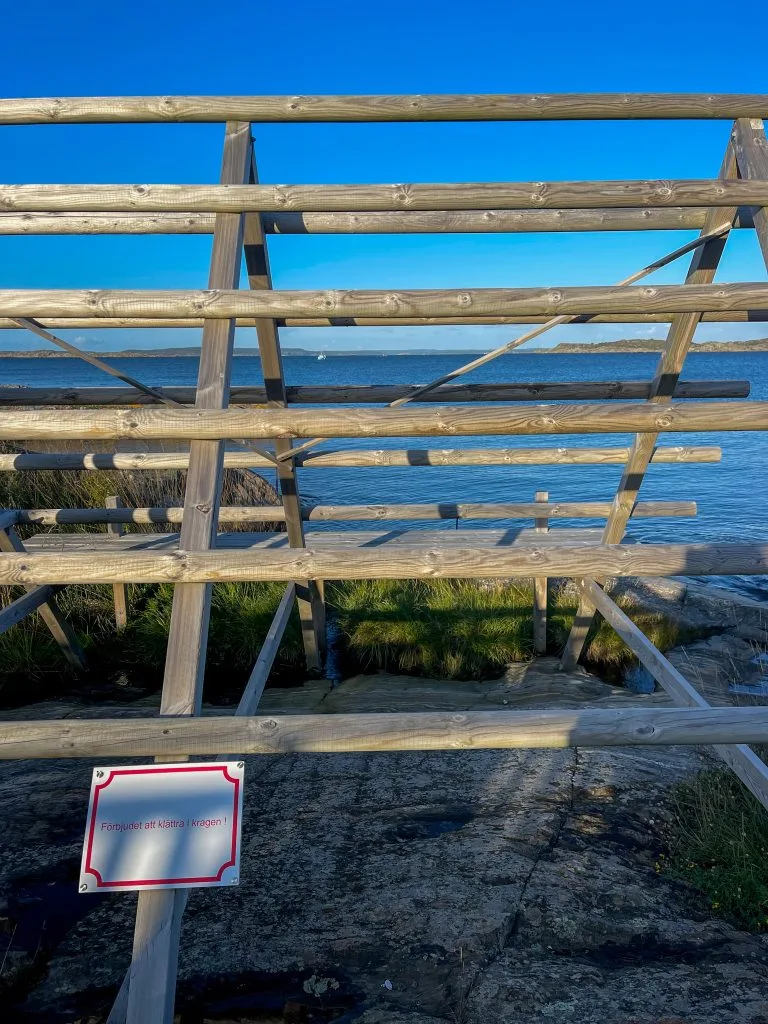 jag tog hemmaledigt, kragen, knippla