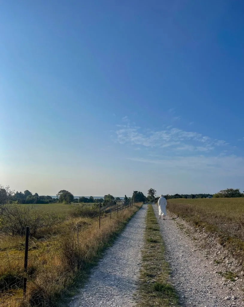 morgondopp, fårö, annmarie tornmalm
