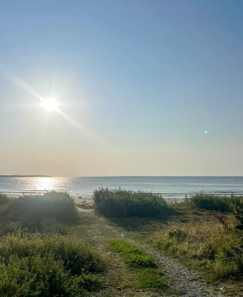 radioprat och morgondopp, fårö, fåröakademien,