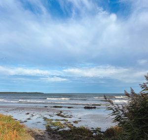 författarveckan fårö, strand, sudersand