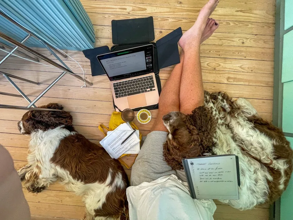 en hel skoldag, kreativt skrivande, malin lundskog, springer spaniels