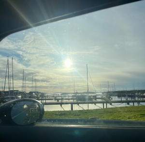 utsikt hälsö hamn