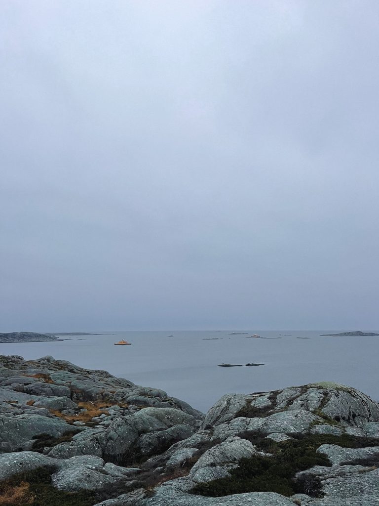 skön söndag, västkusten, ö-liv, utsikt, himmel, hav, grått, knippla