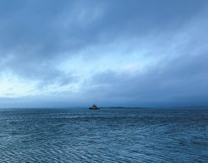 utsikt från knippla, morgonpromenad i december