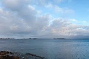 utsikt, knippla
