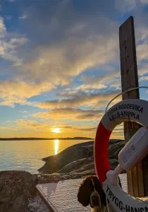 livboj, knippla, soluppgång, utonjut