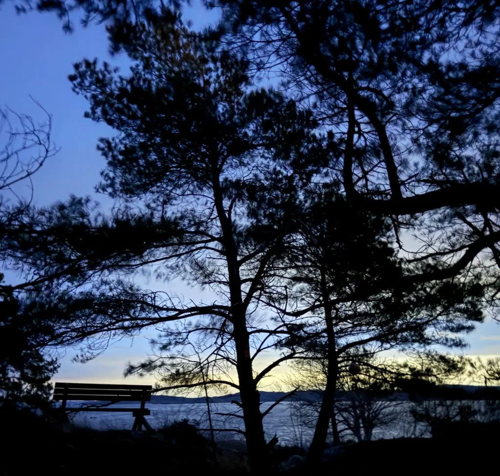 nionde månaden i hängmattan, knippla, februari, en utenatt i månaden