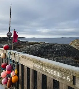 röddeviga, knippla, vägen