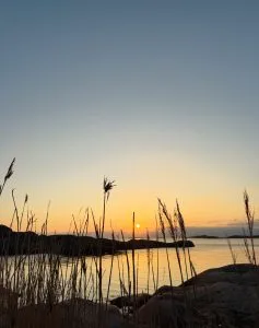 solnedgång, knippla,