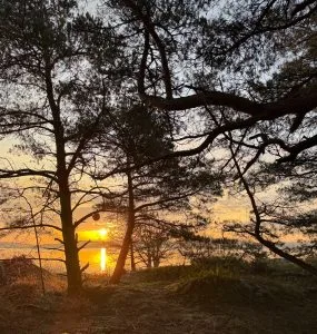 en utenatt i månade, soluppgång, knippla