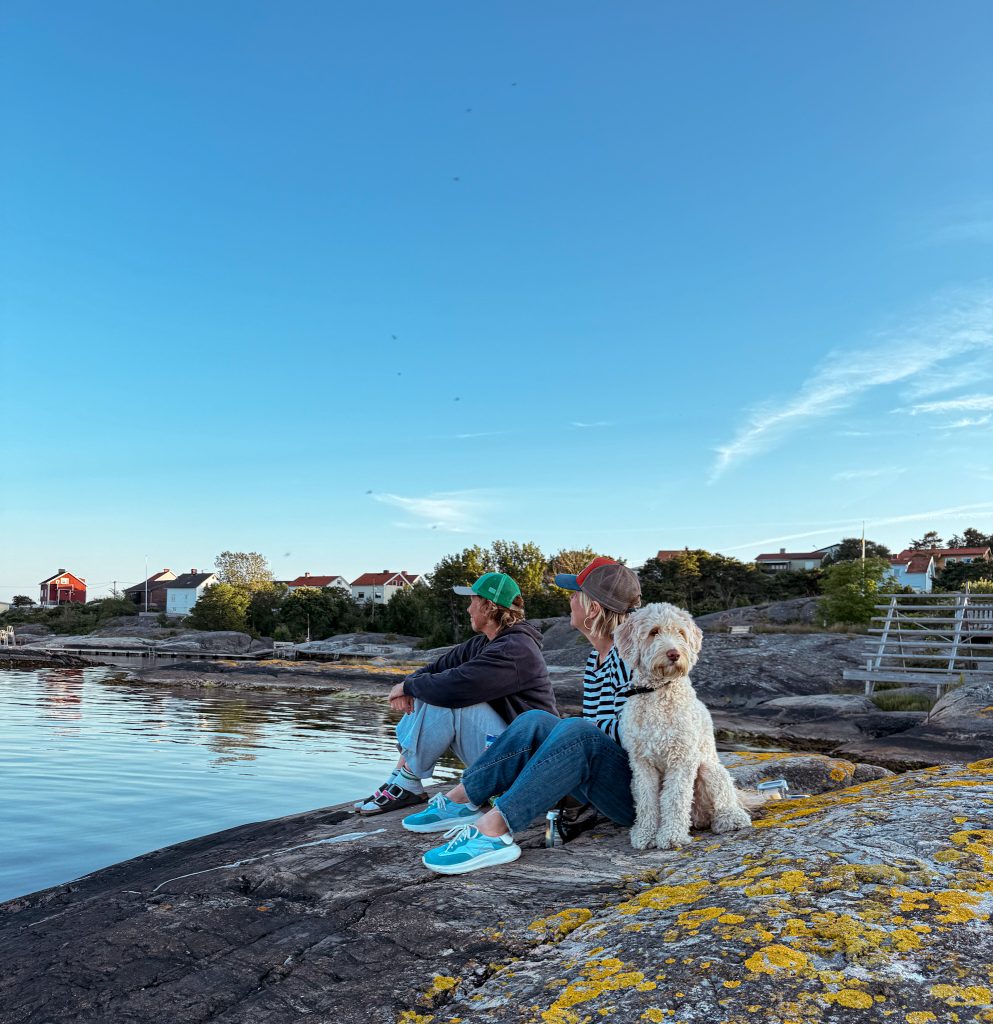 en utenatt i månaden, hund, knippla, malin lundskog, agneta bergman, utsikt, junikväll