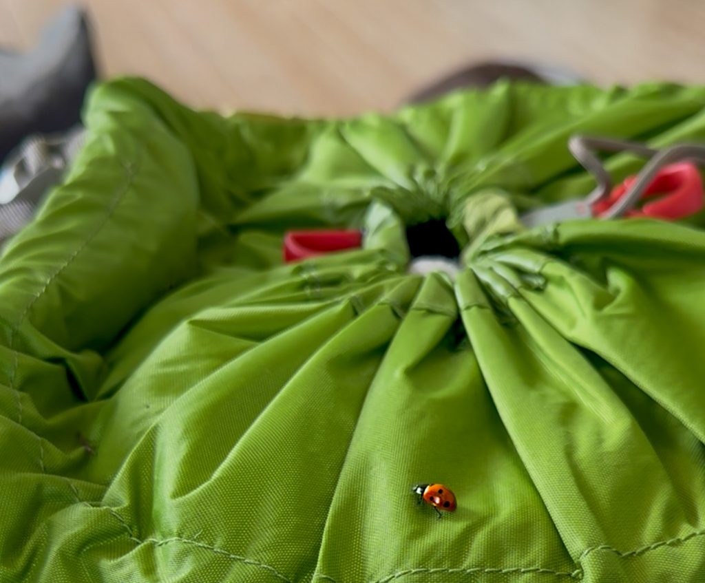 en utenatt i månaden, ryggsäck, nyckelpiga