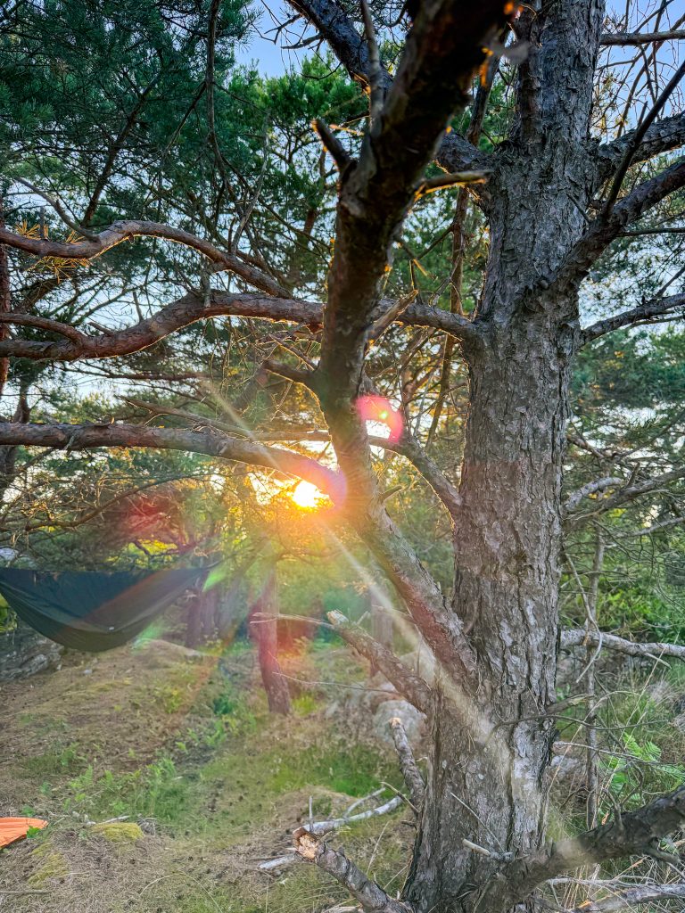 I hängmattan förvandlas jag till en riktig sjusovare, en utenatt i månaden, knippla, sol