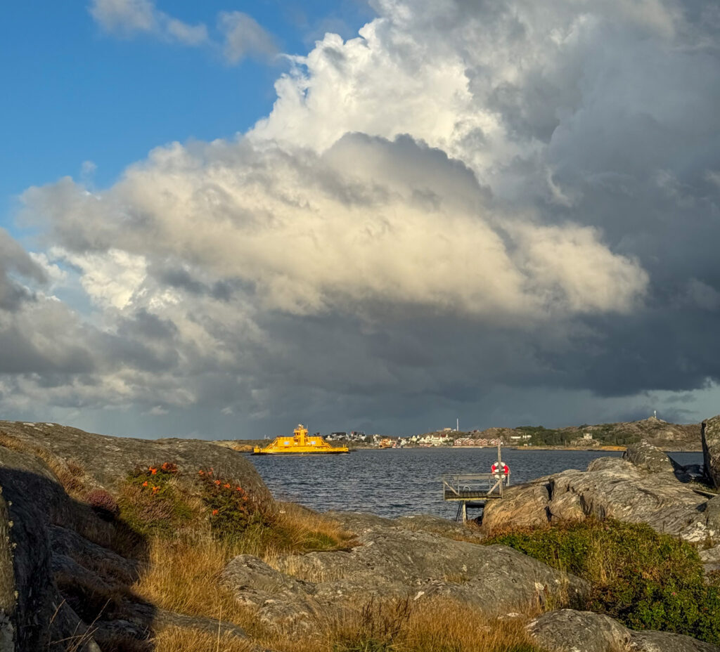 morgonjogg, ö-liv, knippla, utsikt över hyppeln, bilfärja
