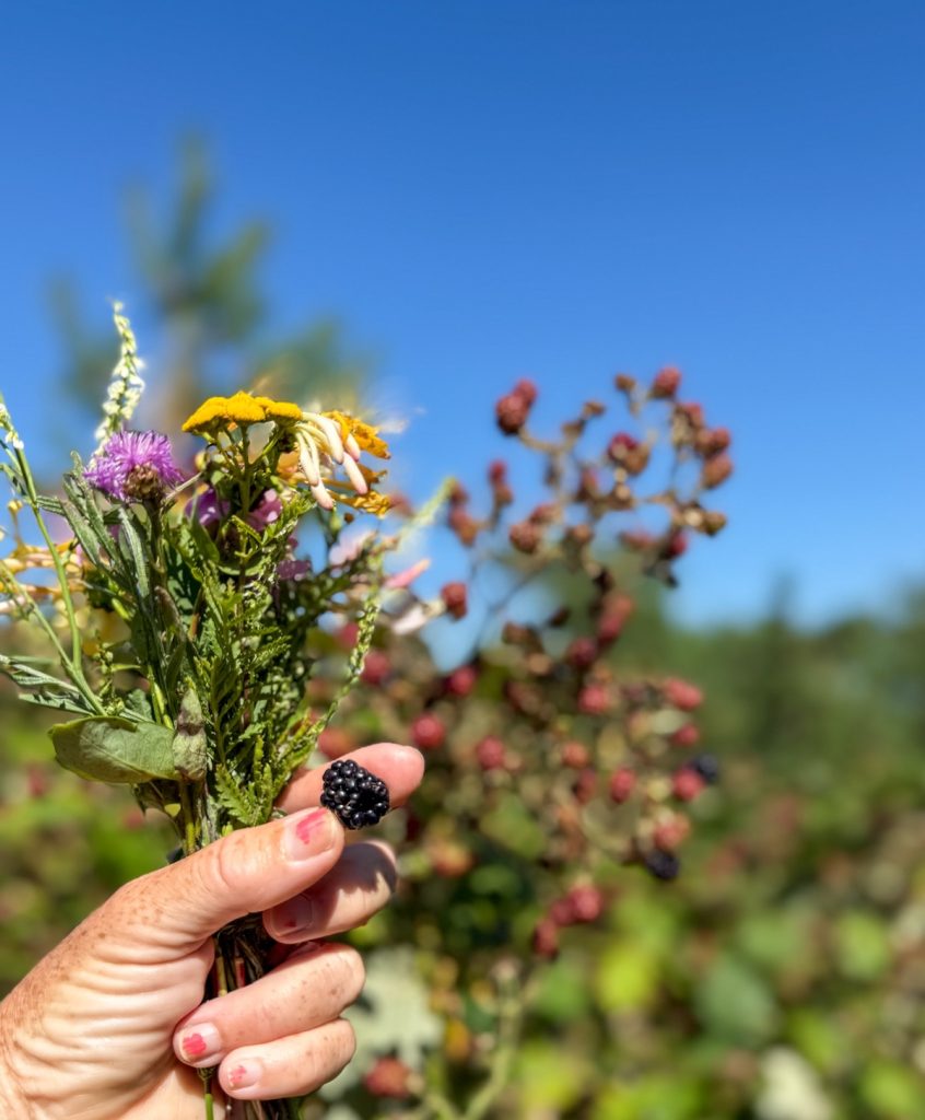 björnbär, blomsterbukett, mallin lundskog, knippla, jag ska bara korrekturläsa