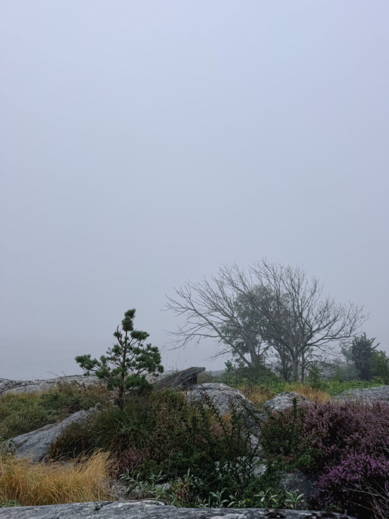 vakna i hängmattan, knippla, dimma