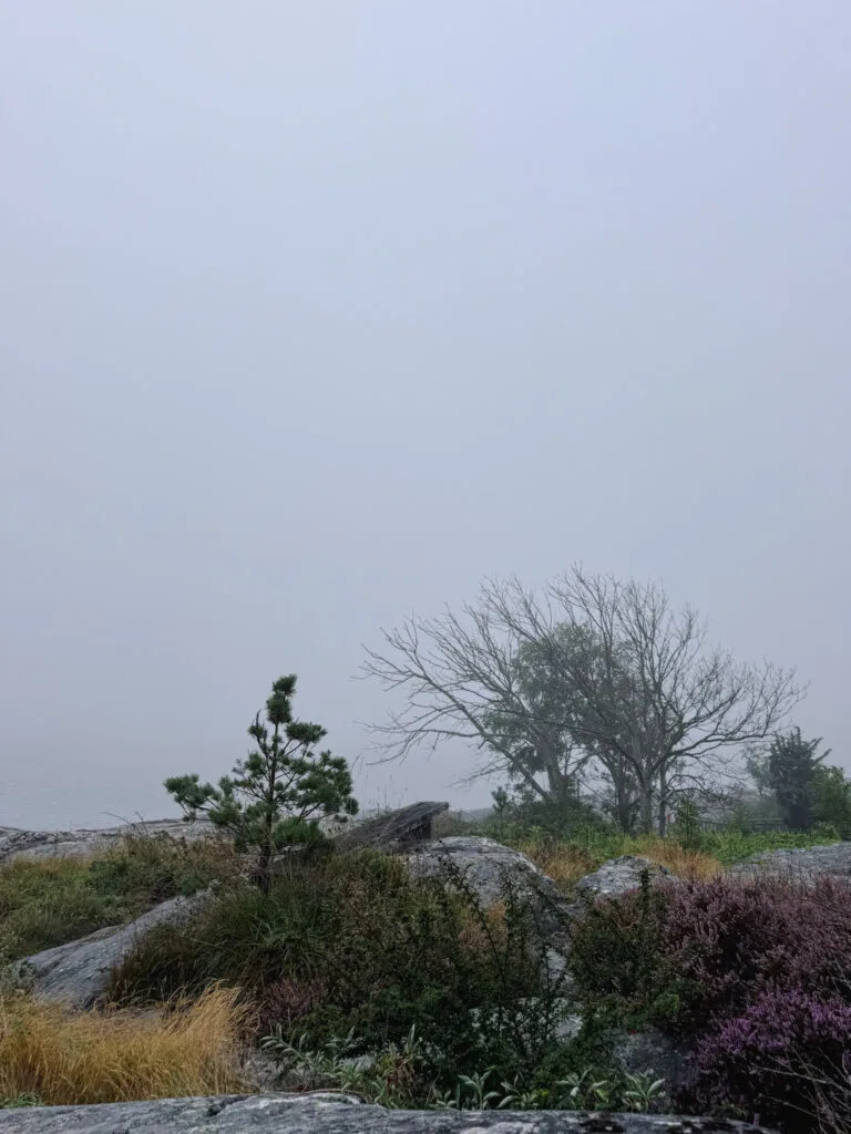 vakna i hängmattan, knippla, dimma