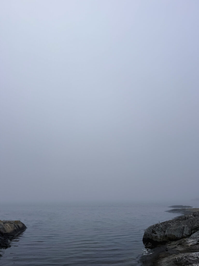 vakna i hängmattan, knippla, dimma