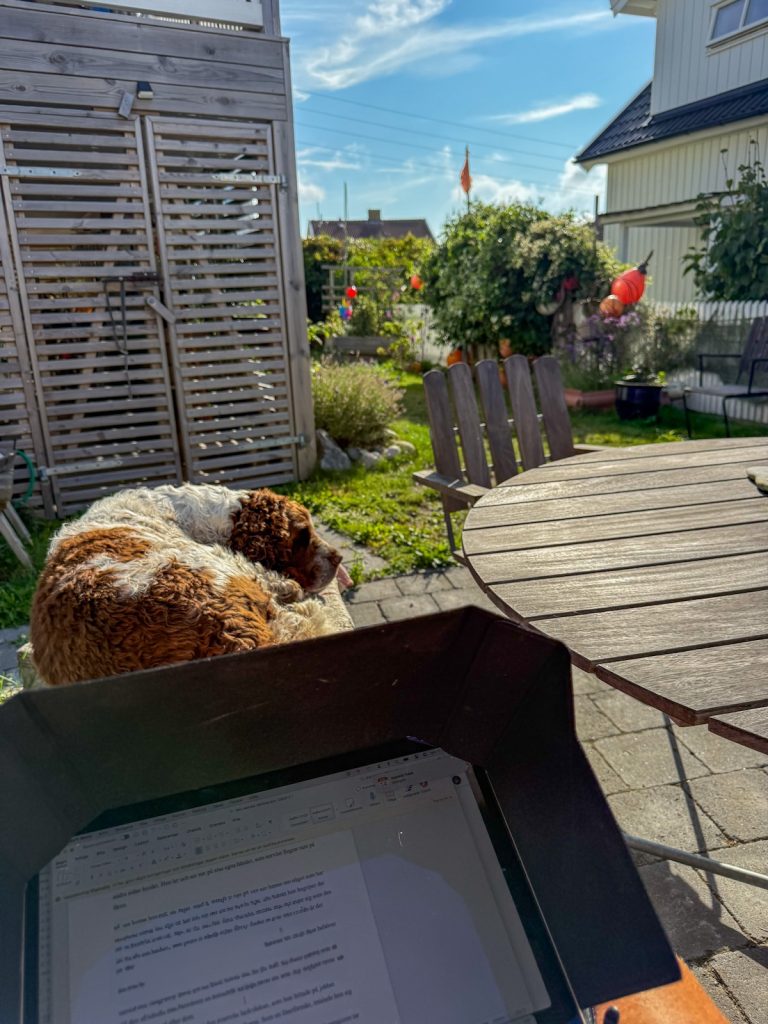 Malin Lundskog, knippla, korrektur, springer spaniel, jag ska bara korrekturläsa
