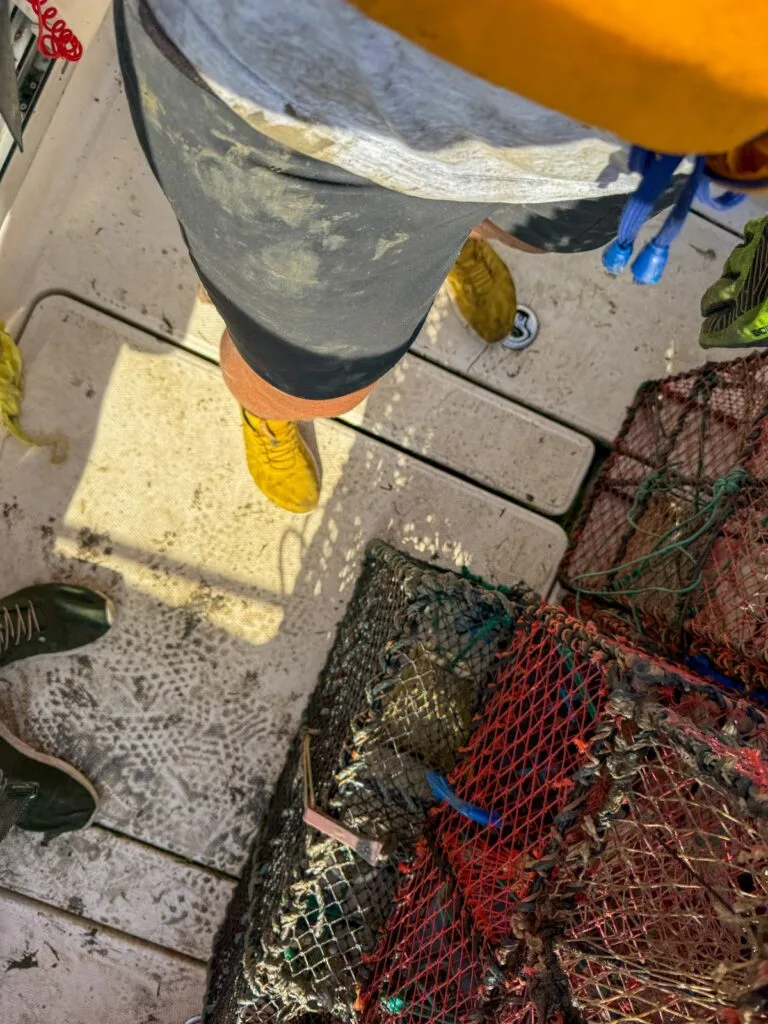 kräftfiske, det grer seg i sjön, lera, kräftburar
