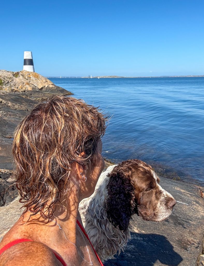 malin lundskog, springer spaniel, knippla, hav, kummel, jag ska bara korrekturläsa
