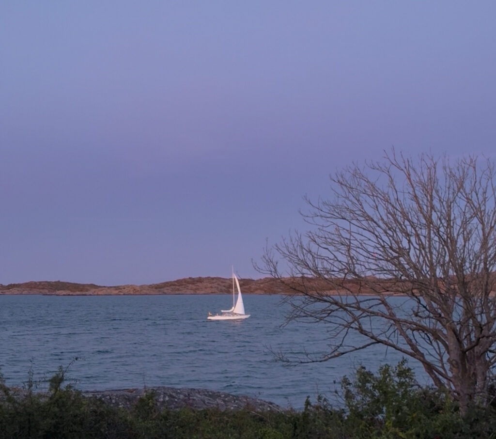 segelbåt, utsikt från knippla, en utenatt i månaden, utenätterna i augusti
