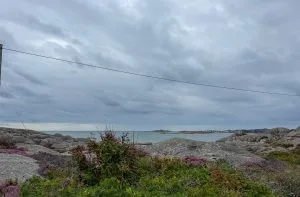 utsikt, ljung, knippla