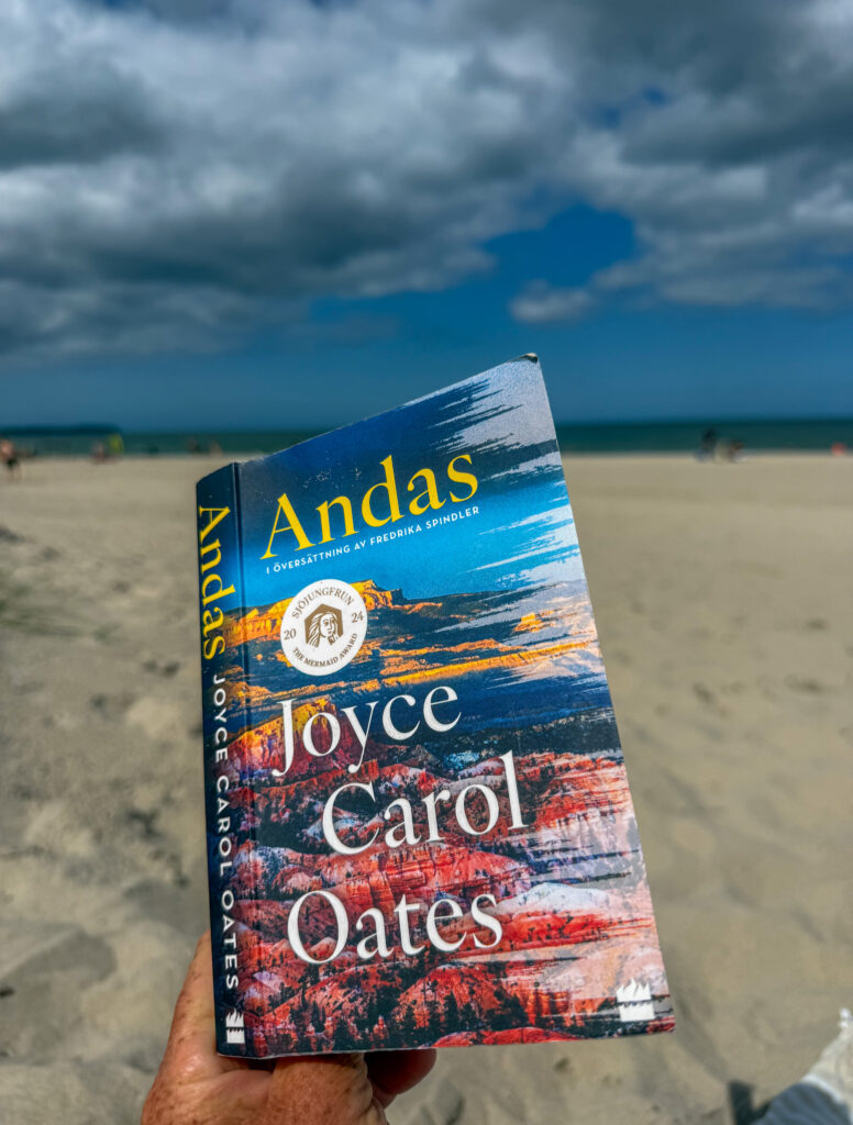 säsongens första boktips, andas, joyce carol oates, strand, himmel
