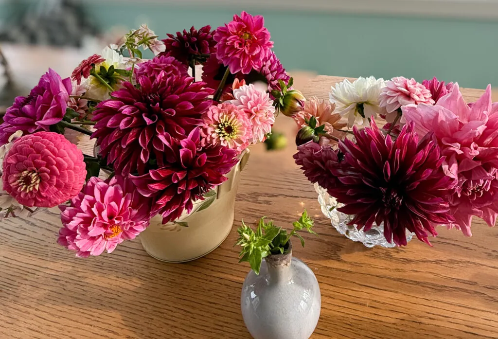 en underbart tantig lördag, dahlior, buketter, snittblommor,